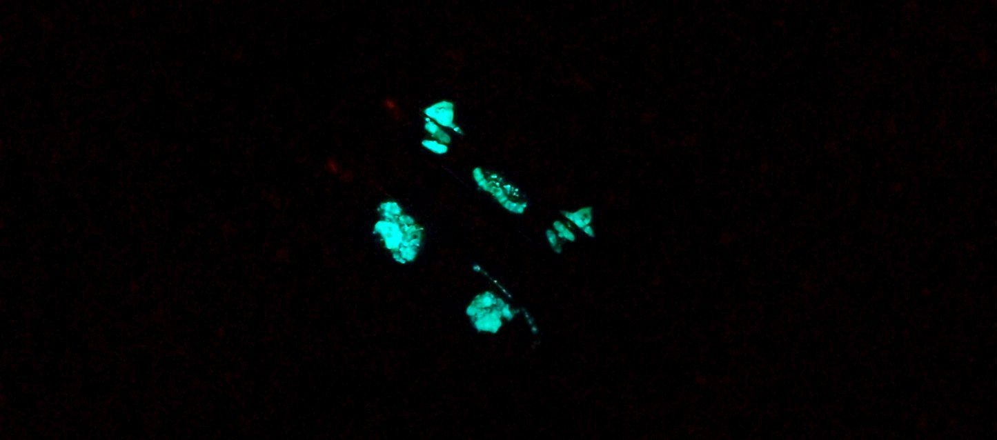 انگشتر ست شبتاب مدل گربه و پنجه